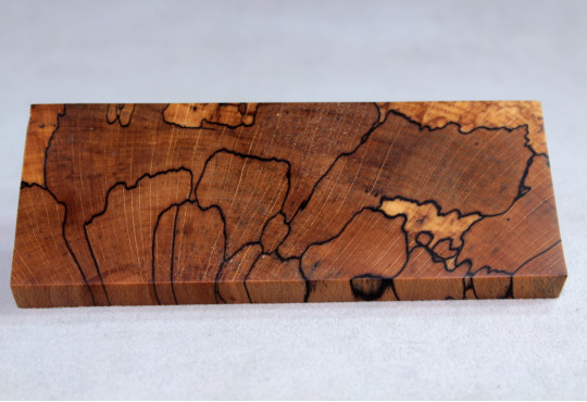 Stabilized Spalted Wood Mod Block